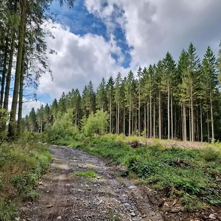 Glamping Tent In The Heart Of Ardennes Lägenhet *