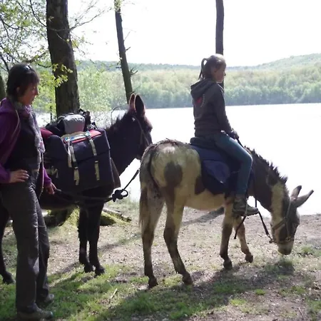 Glamping Tent In The Heart Of Ardennes