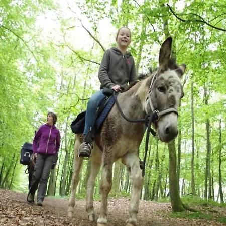 Lägenhet Glamping Tent In The Heart Of Ardennes Signy-lʼAbbaye