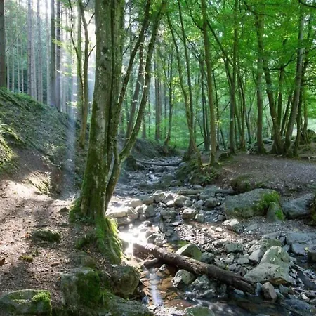 Lägenhet Glamping Tent In The Heart Of Ardennes Signy-lʼAbbaye